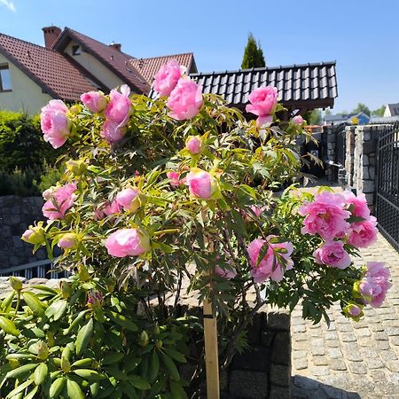 Pokoje Goscinne Weronika Puck Exteriér fotografie